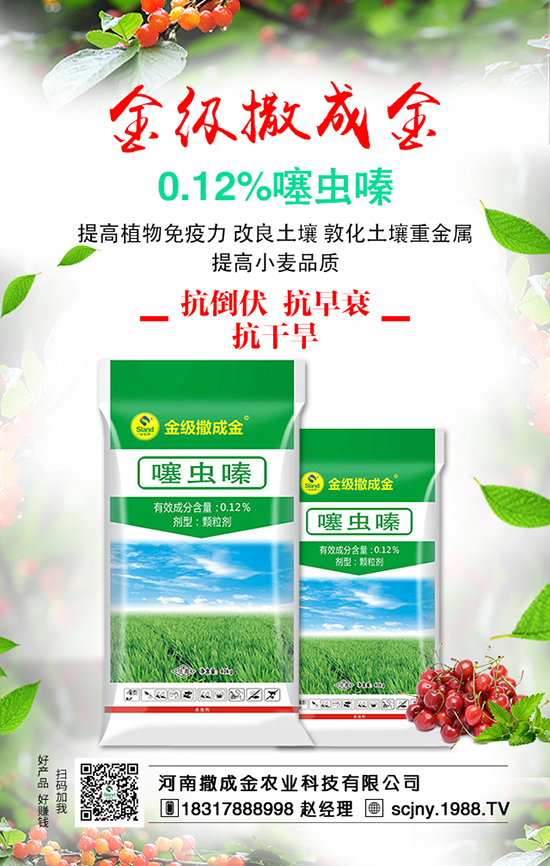 ��ʩ���з���������ʩ�����v��