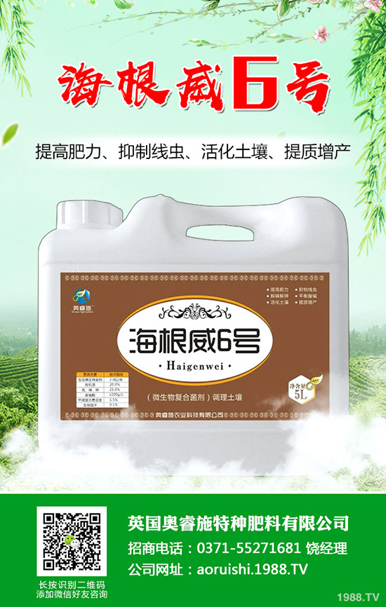 ���Ѵ������Ĩѿ������Ĩѿ������ע�����