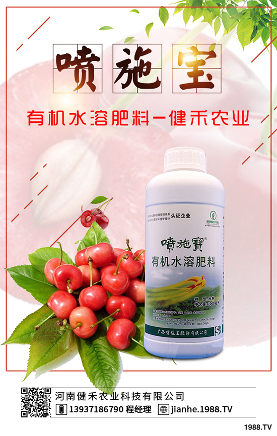 庭院種植竹子好在哪里?種植竹子的技巧與禁忌