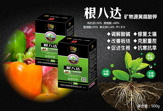 ��Ӣ������ף��2020�������³����f������������󼪣�