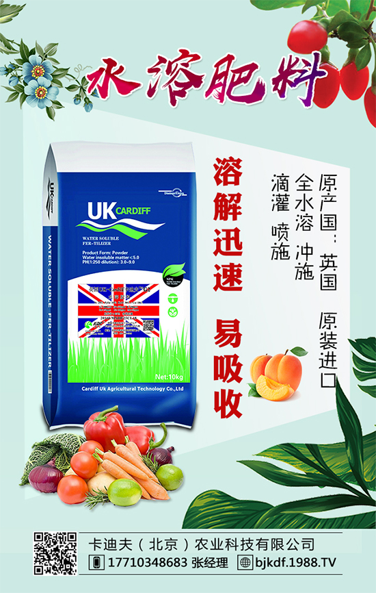 �S����Ҫ��ô�Nֲ���S���ˌ��h(hu��n)���l����Ҫ����