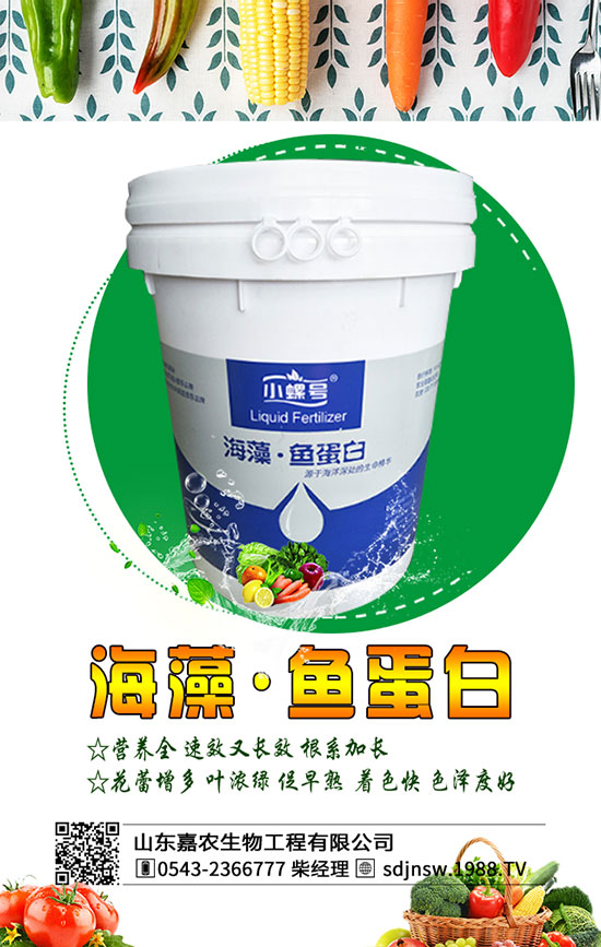 黃花菜什么季節(jié)種植好?2020年黃花菜種植前景及利潤(rùn)分析!