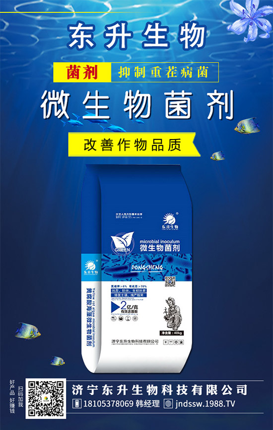 ʯ���ʲô�r��޽Ӻ���ʯ���޽ӷ�������Щ����