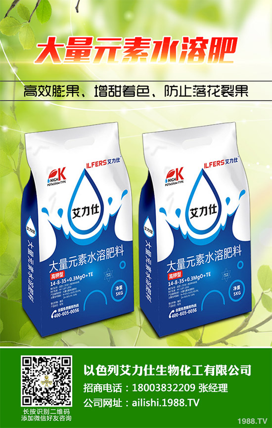 �۲˸���������ΰl(f��)������ԓ���ӷ��Σ������������