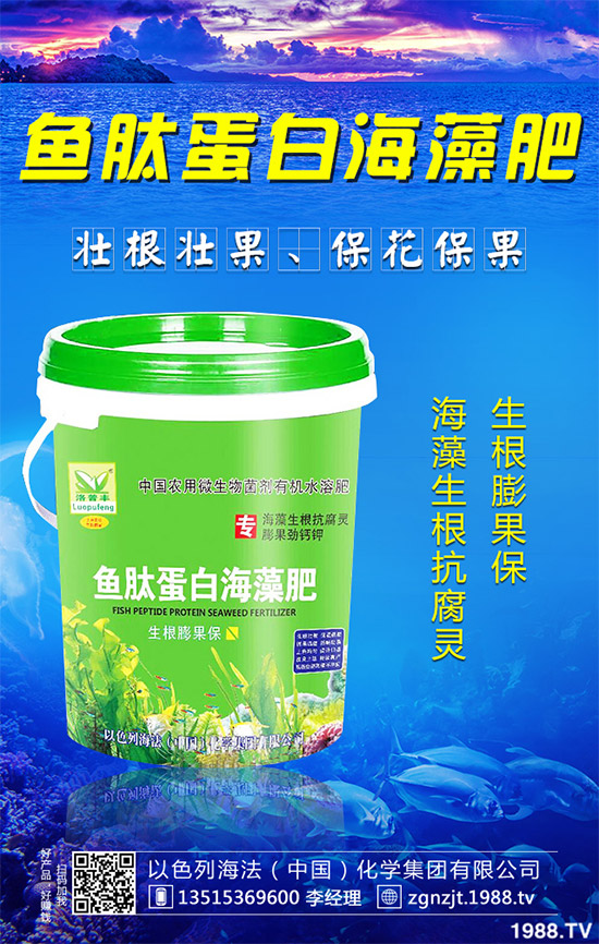 �۲˲���������ЩΣ����ԓ��η������۲˲�������Σ���c����