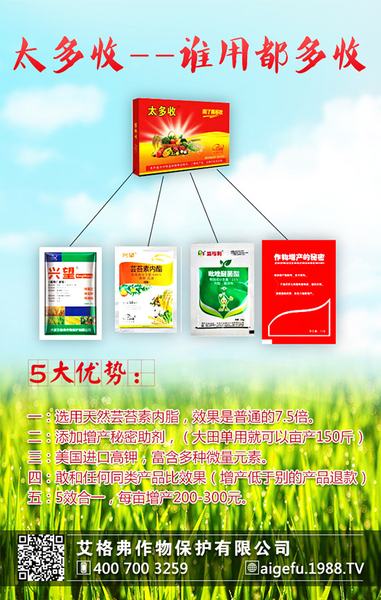 ���۵ķNֲҪ������Щ�����۵ķNֲҪ�c(di��n)��