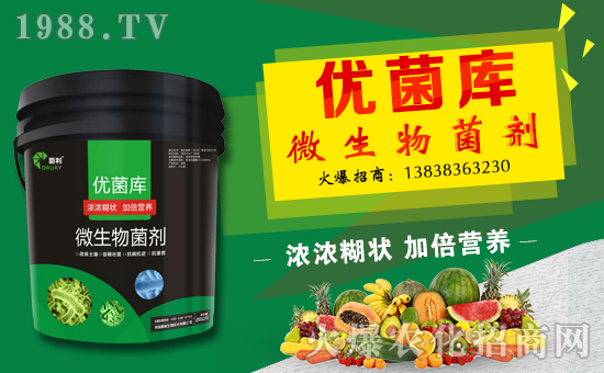 ���������ף������µ�һ���﹤�����������������