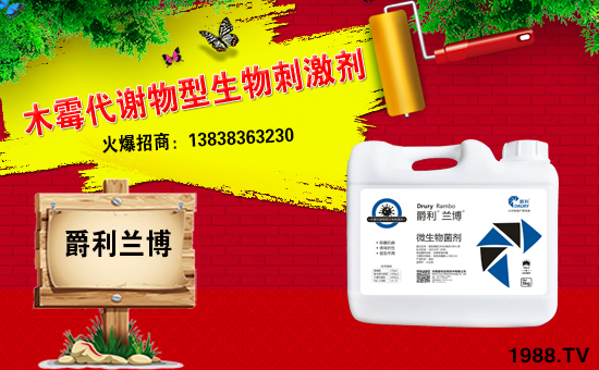 ���������ף������µ�һ���﹤�����������������