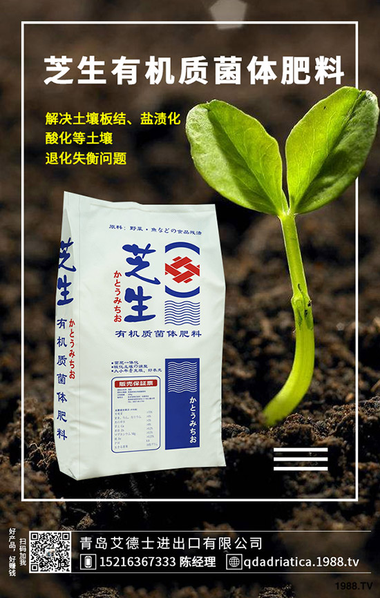 櫻桃有哪些營養(yǎng)價(jià)值,櫻桃的功效與作用是什么,如何選購?