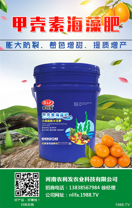 �t���c�uѪ������Щ�^(q��)�e�����߹�Ч�÷��cʹ�ý���