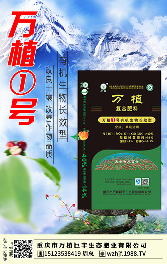     �R����ĩ�����@�Ј��������f������2020-1-4�������¶��@�r�������