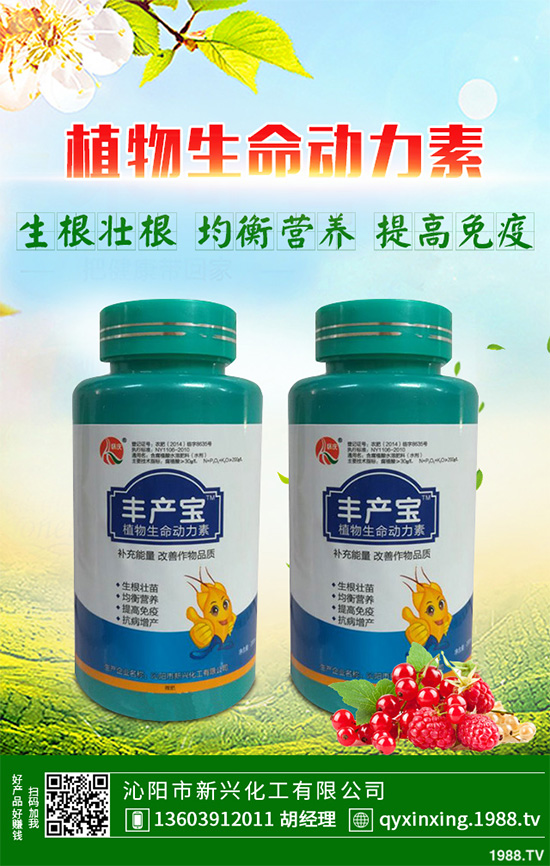 ���Ӳ��ܷN�ô�ײ�����ײ˸߮a(ch��n)�Nֲ���g(sh��)Ҫ�c(di��n)