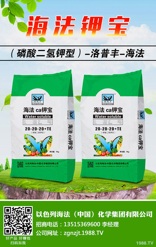 �������ö�������޼�����䶬���޼��ĕr(sh��)�g��������