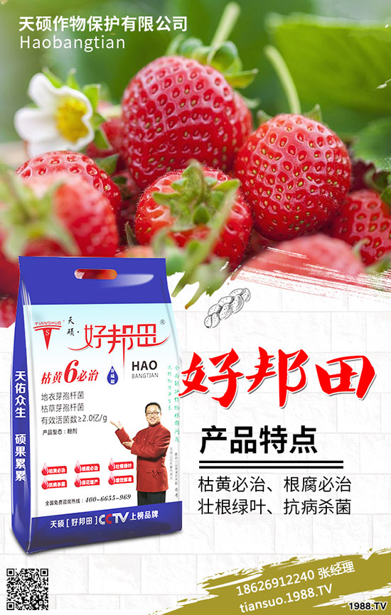 2020���r(n��ng)��Nֲʲôˮ��ٍ�X����Щ�N����Ʒ�N���^����