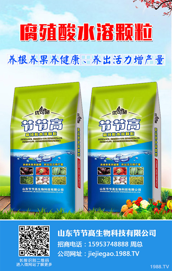 �Nֲ�㹽ǰ�������2020���㹽�Nֲǰ������