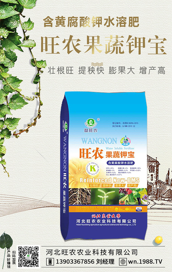 ���������L��������Щ���������B(y��ng)�oҪ�c��