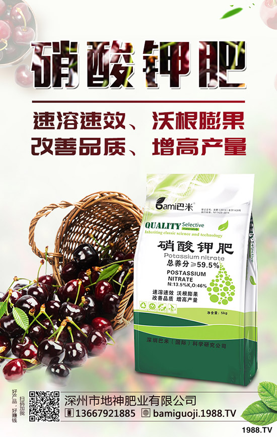 紅薯育苗時(shí)間是什么時(shí)候?紅薯育苗方法有哪些?