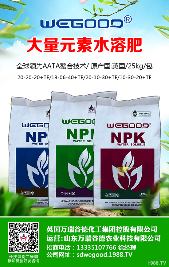 ¶������ʲô�r(sh��)��Nֲ��¶�������߮a(ch��n)�Nֲ���g(sh��)