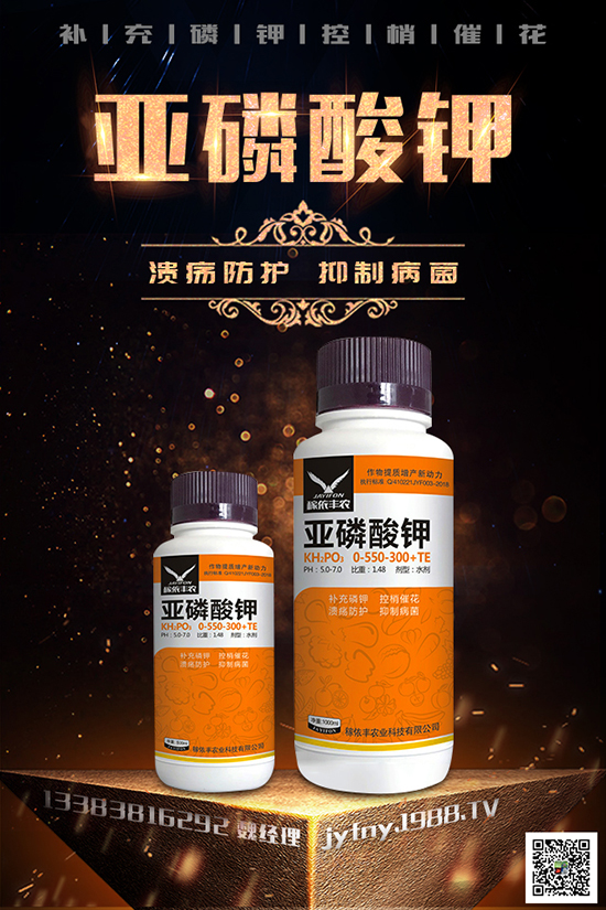 2020�N�ڷ���ٍ�X(qi��n)�����ڷ��ѵķNֲ��������Щ��