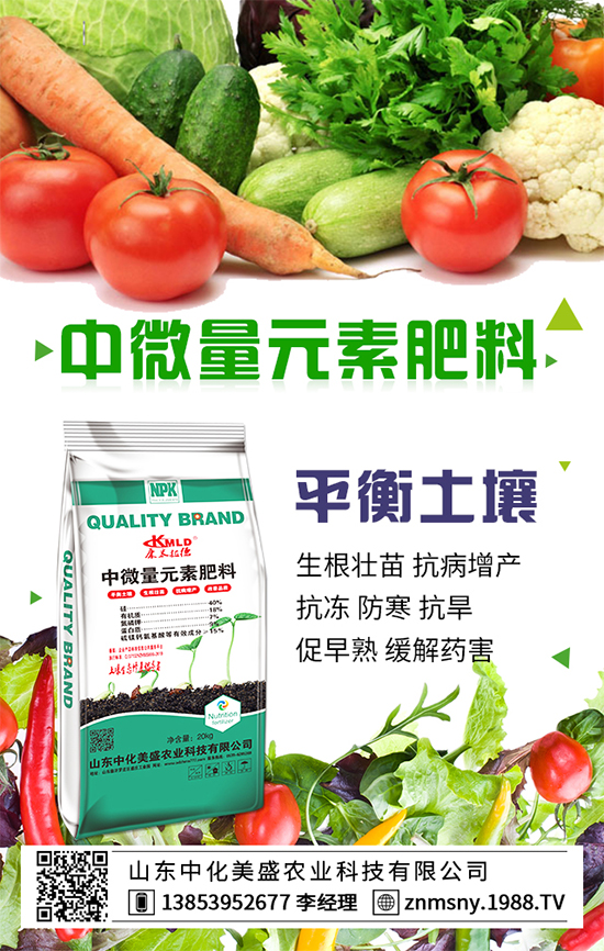 ������ݮ��ô����������ݮ������ʩ��