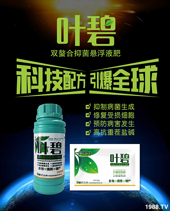     ����˹�����ף���ٸ��R�T�����࣬���������´���2020�´��옷��