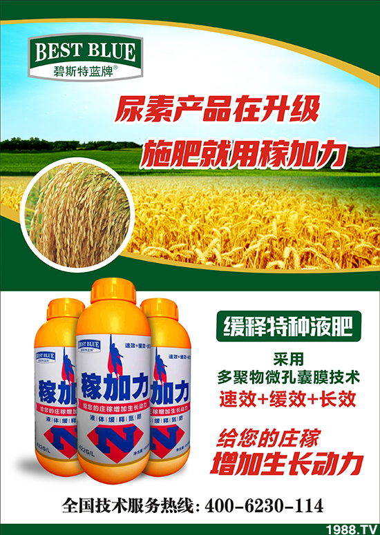     ����˹�����ף���ٸ��R�T�����࣬���������´���2020�´��옷��