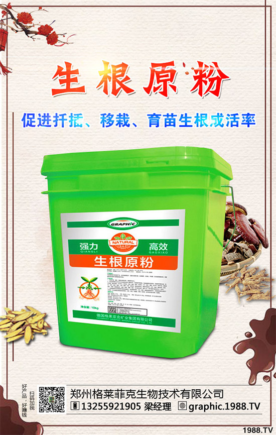 春季甘藍(lán)該如何種植?春甘藍(lán)高產(chǎn)管理技術(shù)