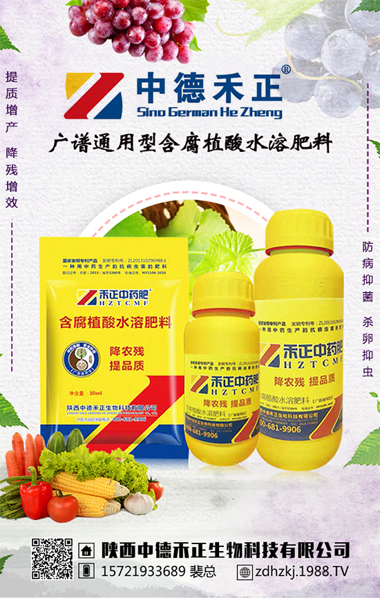 ���еº�����ף�V��(j��ng)�N��2020���I(y��)�v�w������󼪣��������