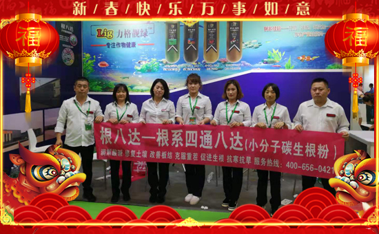 ��Ӣ������ף��2020�������³����f���������������