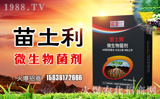 ��Ӣ�����r(n��ng)�I(y��)��ף������µ�һ���������d¡���f(w��n)��������