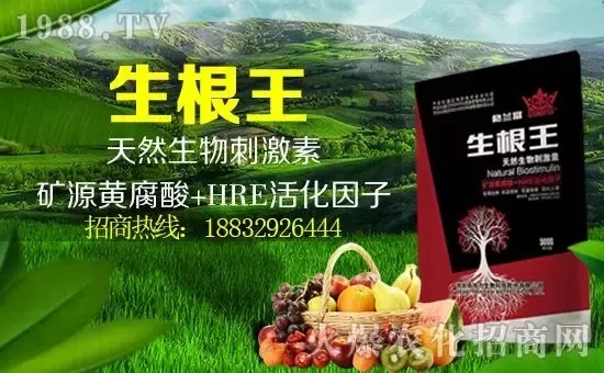 С���q�r�����e��r���^2500Ԫ/����