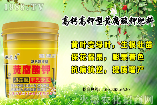 ��ݮ���L���h(hu��n)��Ҫ������Щ���＾��ݮ��ֲע����헺͹�����ʽ��