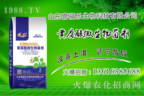 �����r��(w��n)��ƫ����2020��10��14�ջ����r���������