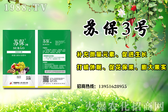 大棚黃瓜應該在什么時候施肥?大棚黃瓜底肥施用的3個誤區(qū)!