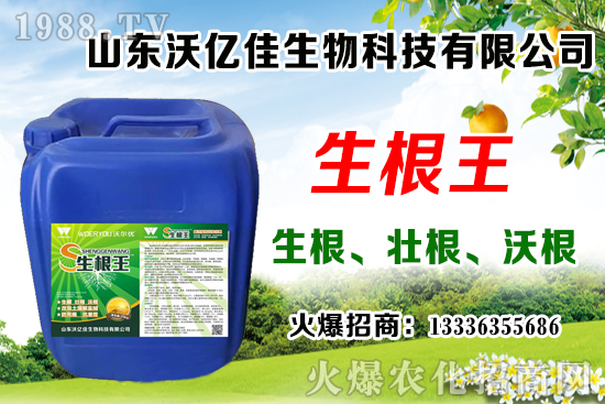 Ӱ푲�ݮ��ѿ�ֻ���������Щ����ݮ��ѿ�ֻ����c��ֲ����Ҫ�c(di��n)��