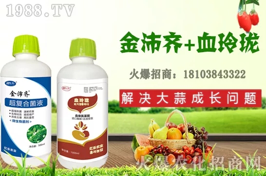     �ļ�ʯ�����L(zh��ng)��(x��)������Щ���ļ�ʯ����ֲ���g(sh��)�������ڹ�����