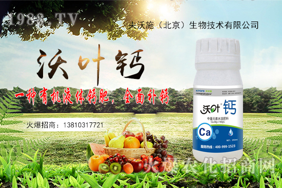 ����߀���ٝq����2020��10��20�ջ����r(ji��)������