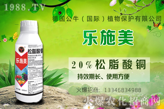 ������ʩ�ʕr�g��ʲô�r����������ԓ���ʩ�ʣ�