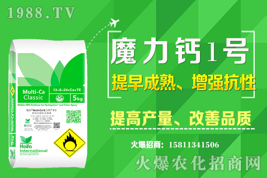 ʮ����Ѯ�m�ϷNֲʲô��ˎ������Щ��ˎ��ٍ�X����ߣ�