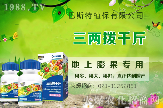 Ӱ�ţϥ��ϵ�����L��������Щ��ţϥ����������ʲô�~�����