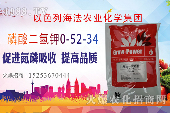 2020��10��28�����؃r��(w��n)�����������؃r�������