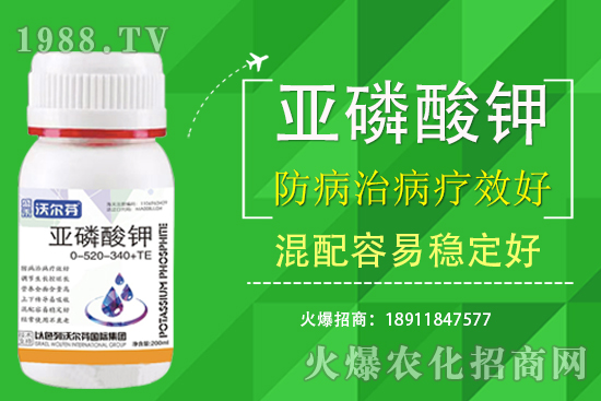 �������Ҫ��������ʲô������֮�g��ʲô�P(gu��n)ע��