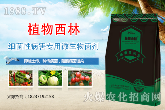 ����̿�Ҳ��Y����ʲô������̿�Ҳ��l(f��)��ԭ�򼰷���