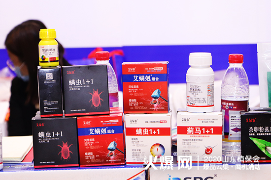 ɽ�|������2020ɽ�|ֲ�������W���ǈ�����Ź����