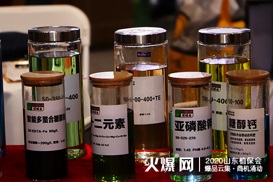    ɽ�|�Z�\(ch��ng)������2020ɽ�|ֲ����(hu��)����ȫ��(ch��ng)��չλ̖(h��o)��C1T75!