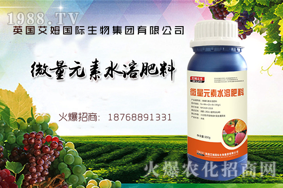 鐵、鋅、硼缺失癥狀,怎么補充作物所需元素?