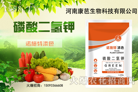 �������￹�����������⛼����������������8����