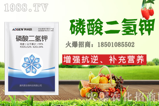 �����Ѿ���+�|̦�أ��������⛣���ʲô���ã�