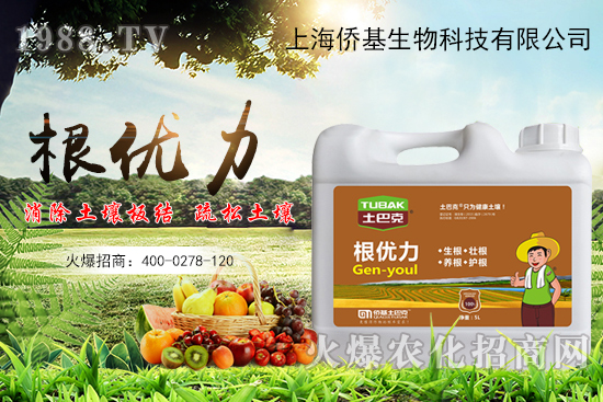 ����������ʲô�����������x������Щ��