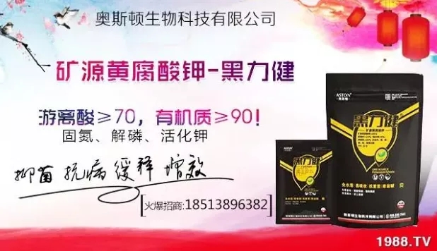 大蒜什么時(shí)間播種？注意事項(xiàng)有哪些？各地大蒜種植時(shí)間表！